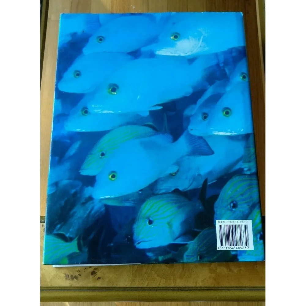 Oceanlife by Sally Morgan and Pauline Lalor, 1st edition 2000, hardcover, jacket